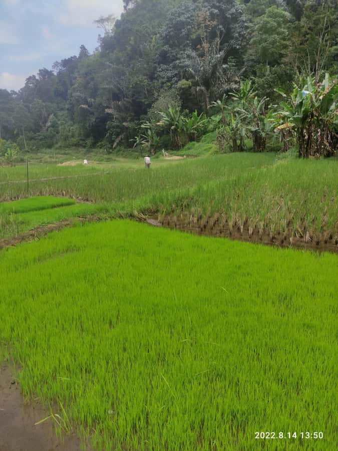 Jakarta: Active Volcano, Waterfall &beautiful local village - Is $126 per person good value?