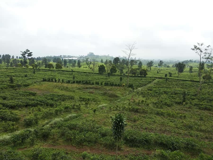 Jakarta: Active Volcano, Waterfall &beautiful local village - The 2.7-kilometer walk to Cibareubeuy Waterfall