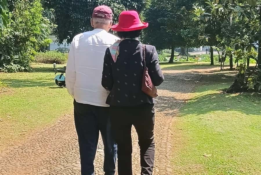 Jakarta Bogor Botanical Garden, Waterfall and Rice Terrace - The private-car advantage
