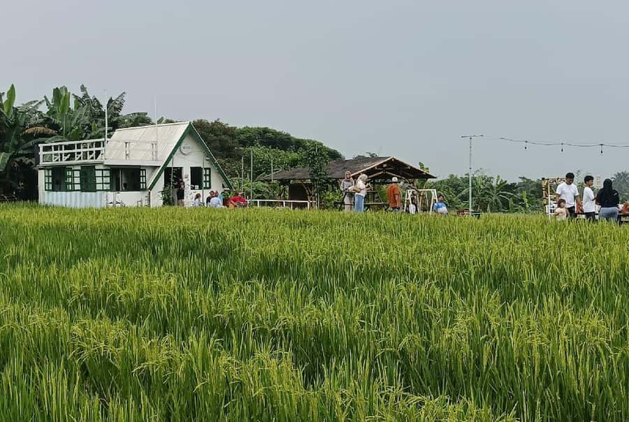 Jakarta Bogor Botanical Garden, Waterfall and Rice Terrace - Practical tips for a smoother day