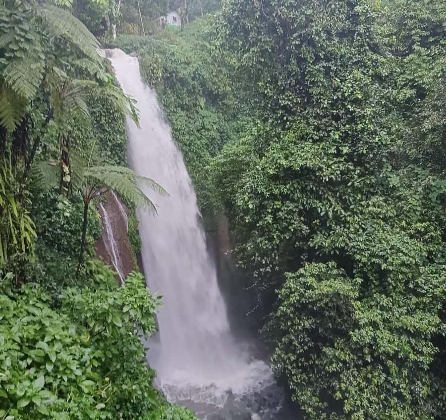 Jakarta Bogor Botanical Garden, Waterfall and Rice Terrace - Walking through Bogor Botanical Garden