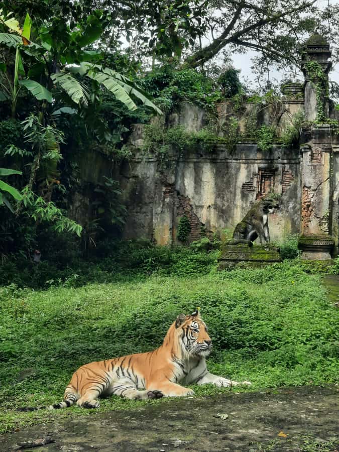 Jakarta : Taman Safari, Panda Palace, and Waterfall - Key points to know before you book