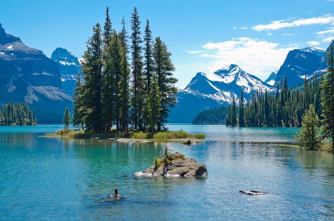 Jasper Wildlife and Sightseeing Tour with Maligne Lake Hike - Key Things to Know Before You Go