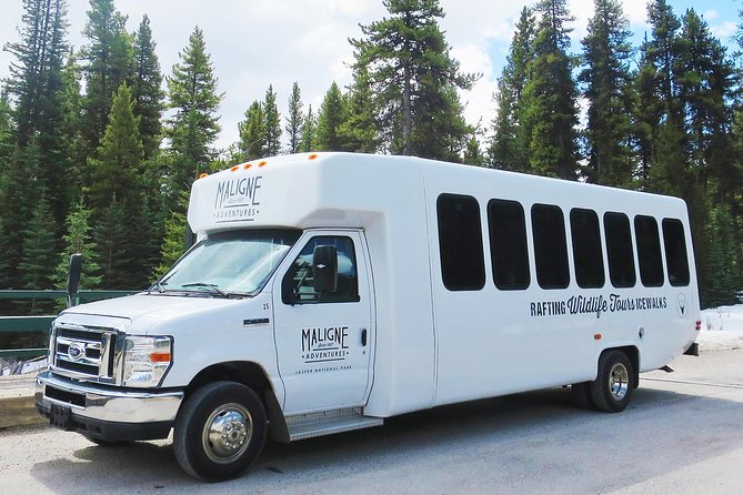 Jasper Wildlife and Sightseeing Tour with Maligne Lake Hike - What the Guides Add to the Day