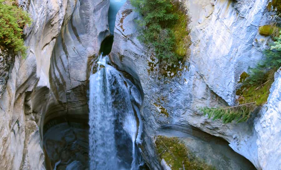 Jasper: Wildlife and Waterfalls Tour with Lakeshore Hike - A six-hour route into Jasper’s Maligne Valley