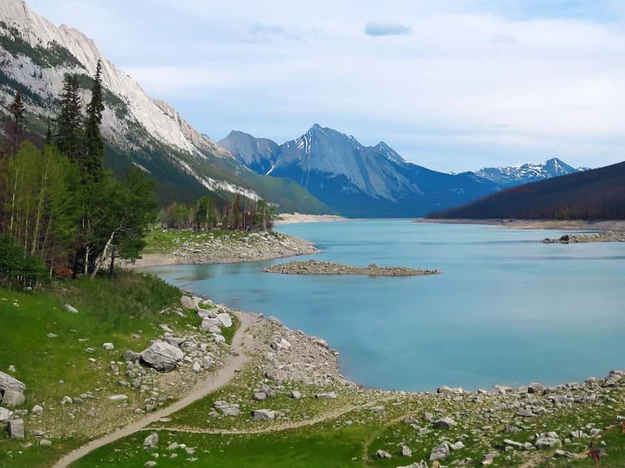 Jasper: Wildlife and Waterfalls Tour with Lakeshore Hike - The Maligne Lake walk is the heart of the tour