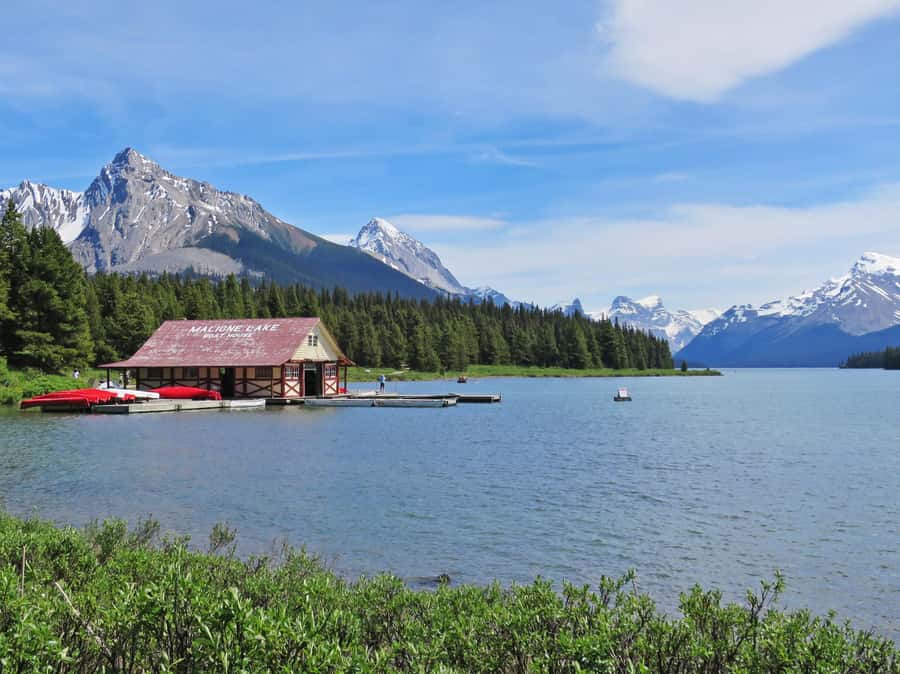 Jasper: Wildlife and Waterfalls Tour with Lakeshore Hike - Why the guide matters so much