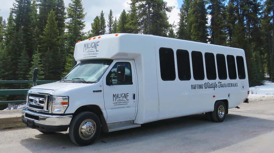 Jasper: Wildlife and Waterfalls Tour with Lakeshore Hike - Maligne Canyon and the current wildfire change