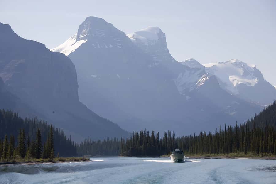 Jasper: Wildlife and Waterfalls Tour with Maligne Cruise - Wildlife watching along the valley road