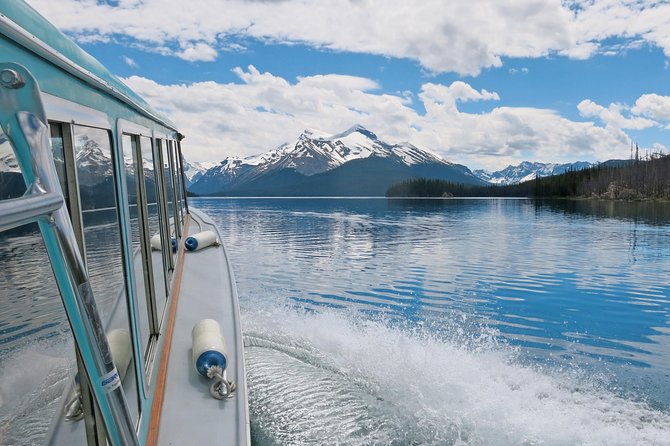 Jasper Wildlife & Sightseeing Tour with Maligne Lake Cruise - What wildlife can you actually see?