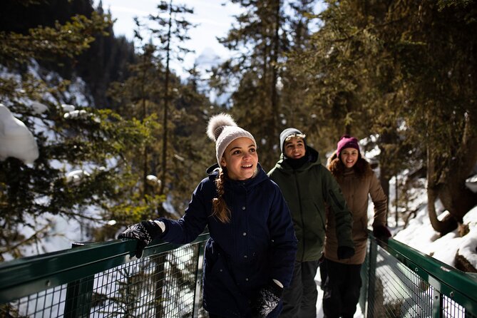 Johnston Canyon Frozen Waterfalls - Small Group Tour - Why Johnston Canyon works so well in winter