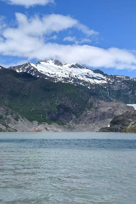 Juneau: Mendenhall Glacier Waterfall & Whale Watching Tour - A two-hour whale watch from Auke Bay