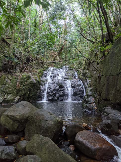 Jungle Adventure Hike:Climb, Waterfall, Discover Seychelles! - Starting through the Grand Anse jungle