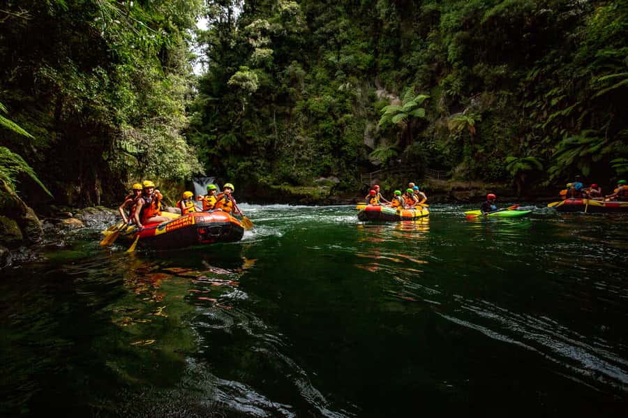 Kaituna River and Tutea Falls Whitewater Rafting - What the scenery adds