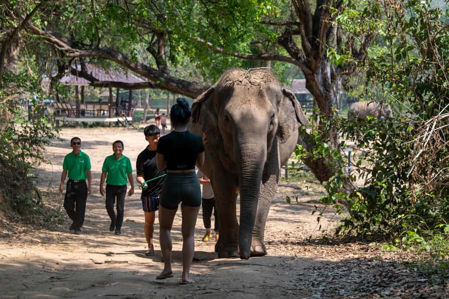 Kanchanaburi: Elephant Sanctuary & Erawan Waterfall Tour - How responsible is the experience?