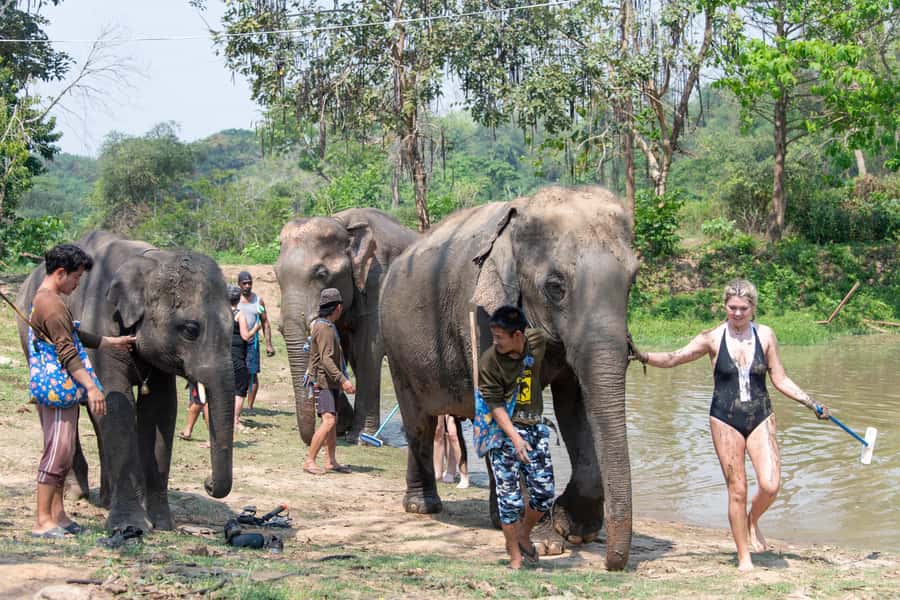 Kanchanaburi: Elephant Sanctuary & Erawan Waterfall Tour - Who should book this day?