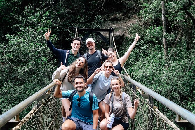 Kangaroos, 6 Springbrook Waterfalls and Natural Bridge Day Tour - A wildlife start at Coombabah Lakes