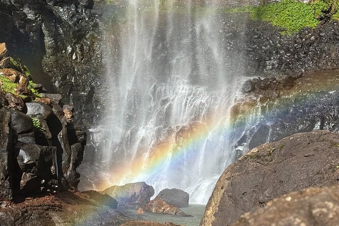 Kangaroos, 6 Springbrook Waterfalls and Natural Bridge Day Tour - Natural Bridge is the visual centerpiece
