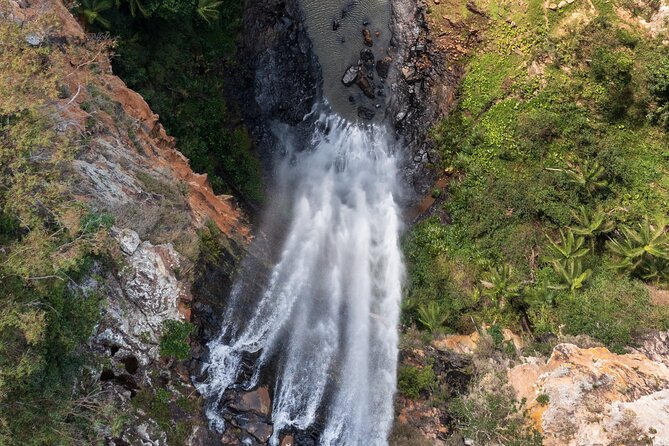 Kangaroos, 6 Springbrook Waterfalls and Natural Bridge Day Tour - Photos and forest restoration add value