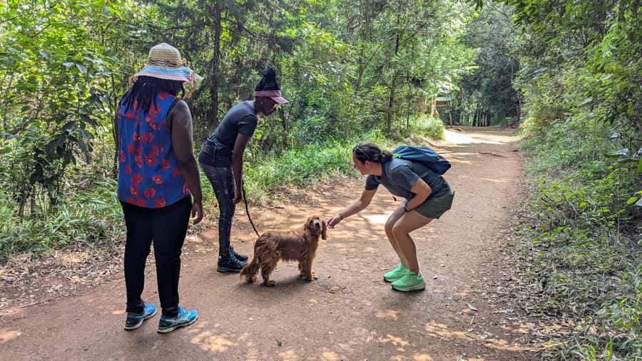 Karura Forest: Walking tour with Nature and Waterfalls. - Why Karura works so well for a Nairobi half-day