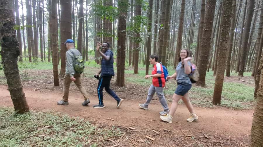 Karura Forest: Walking tour with Nature and Waterfalls. - Woodland paths, monkeys, and the first 90 minutes