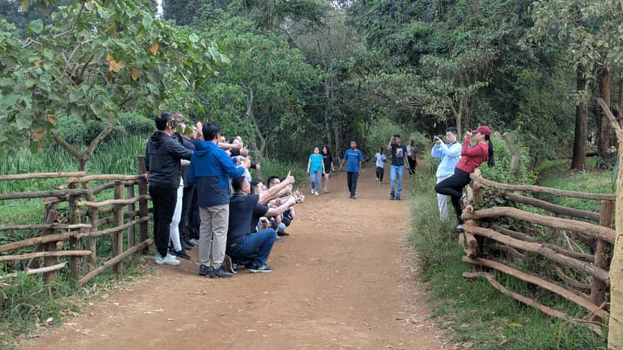 Karura Forest: Walking tour with Nature and Waterfalls. - Two waterfalls and the best photo opportunities
