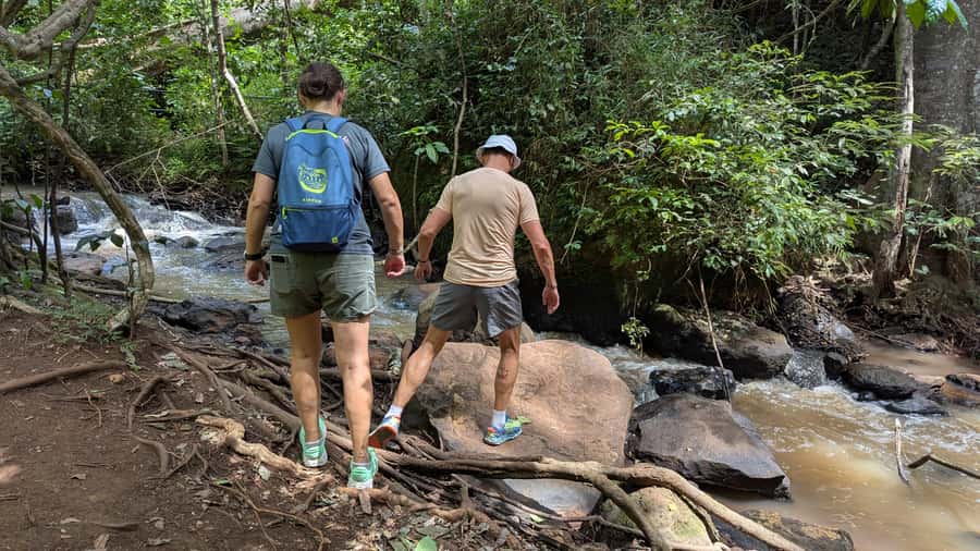 Karura Forest: Walking tour with Nature and Waterfalls. - The final 70 minutes and return to Gate C