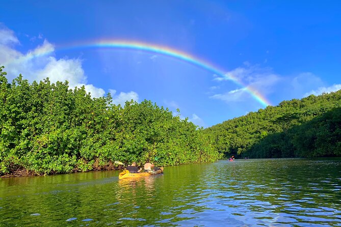 Kauai Adventure: Kayak & Hike to Secret Falls with Expert Guide - Is $140 a fair price?