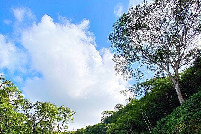 Kauai Adventure: Kayak & Hike to Secret Falls with Expert Guide - Who should choose this Kauai outing?