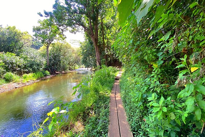 Kauai Adventure: Kayak & Hike to Secret Falls with Expert Guide - Practical packing advice for a wet adventure