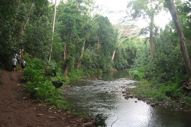 Kauai Adventure: Kayak & Hike to Secret Falls with Expert Guide - Uluwehi Falls rewards the muddy miles