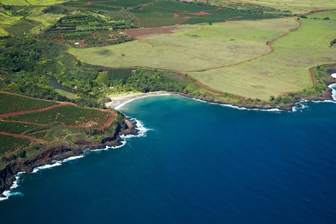 Kauai Airplane Tour: Na Pali Coast, Waterfalls & Window Seats - Jurassic Falls and the interior valleys