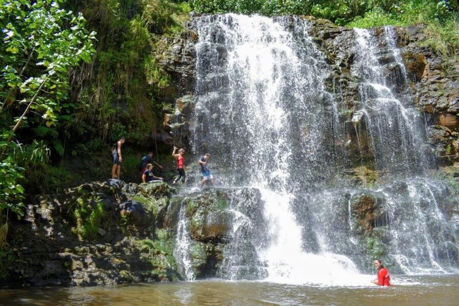 Kauai: Guided Hike and Waterfall Swim - Entering the private estate near Lihue