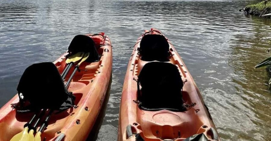 Kauai: Guided Kayak and Hike to Secret Falls - Key points to know before you book