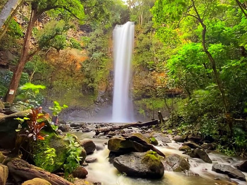 Kauai: Guided Kayak and Hike to Secret Falls - What the five-hour schedule feels like