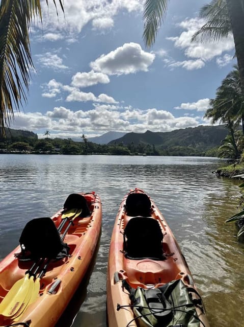 Kauai: Guided Kayak and Hike to Secret Falls - From paddle to forest trail