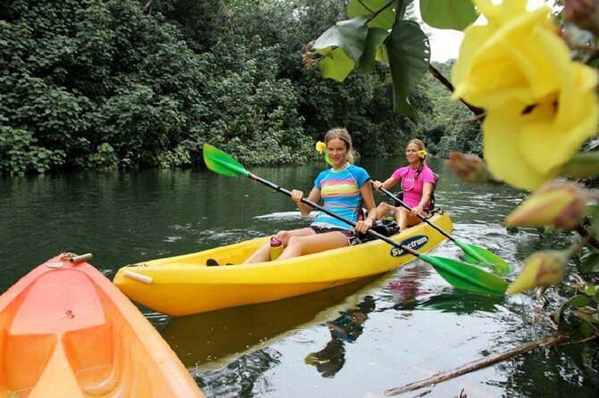 Kauai: Secret Falls Kayak and Hike - Local stories make the river more than a transfer