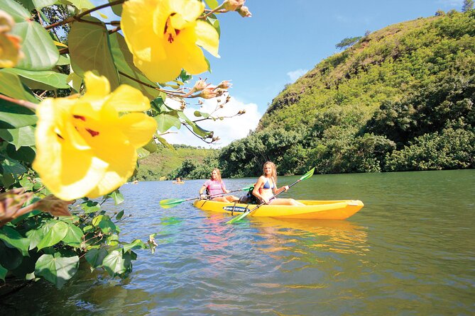 Kauai: Secret Falls Kayak and Hike - Weather can improve the falls and worsen the trail
