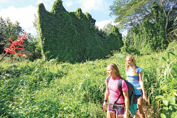 Kauai: Secret Falls Kayak and Hike - The rainforest trail is short but not effortless