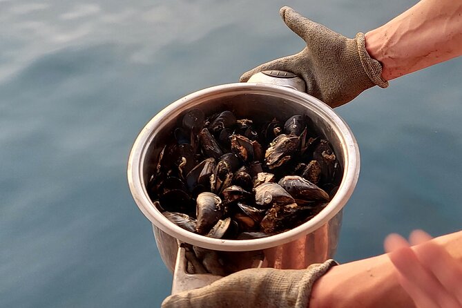 Kayaking and mussels tasting at Krka River estuary-private tours - Fresh mussels at the shell farm