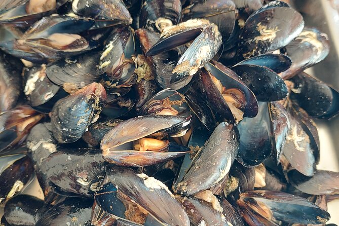 Kayaking and mussels tasting at Krka River estuary-private tours - My booking advice