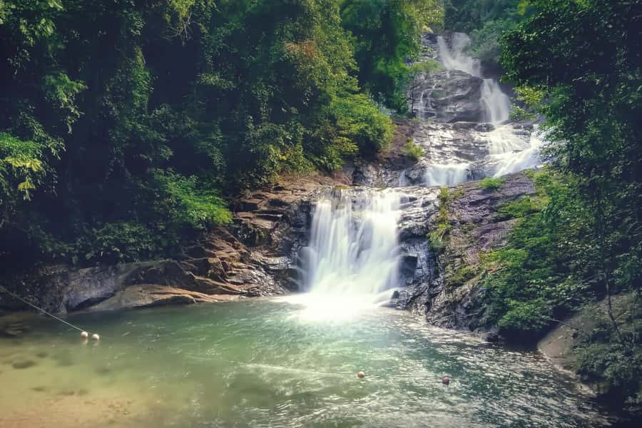 Khao Lak: Lampi Waterfall, Bamboo Rafting & Turtle Center - Bamboo rafting on Kiang Koo Creek