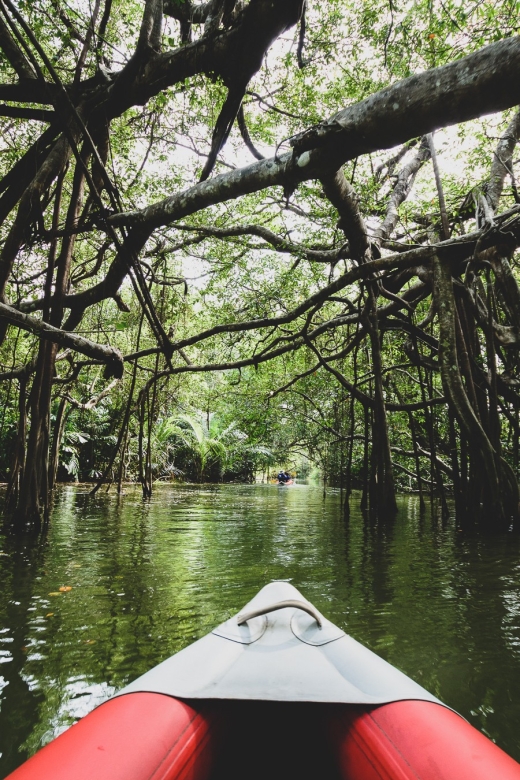 Khao Lak: Little Amazon Canoe Ride & Tam Nang Waterfall Tour - Is $61 good value?