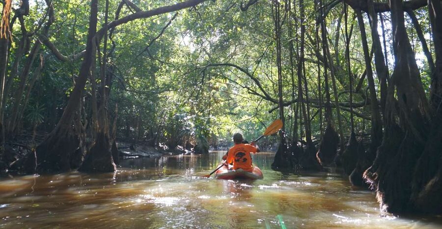 Khao Lak: Little Amazon Canoe Ride & Tam Nang Waterfall Tour - Two very different sides of Khao Lak nature