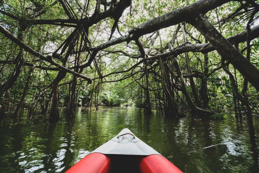 Khao Lak: Little Amazon Canoe Ride & Tam Nang Waterfall Tour - Rainy-season changes and the alternate waterfall