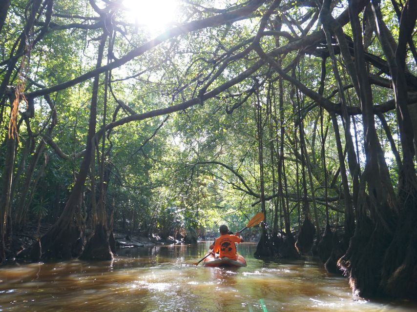 Khao Lak: Little Amazon Canoe Ride & Tam Nang Waterfall Tour - How good is the guiding?