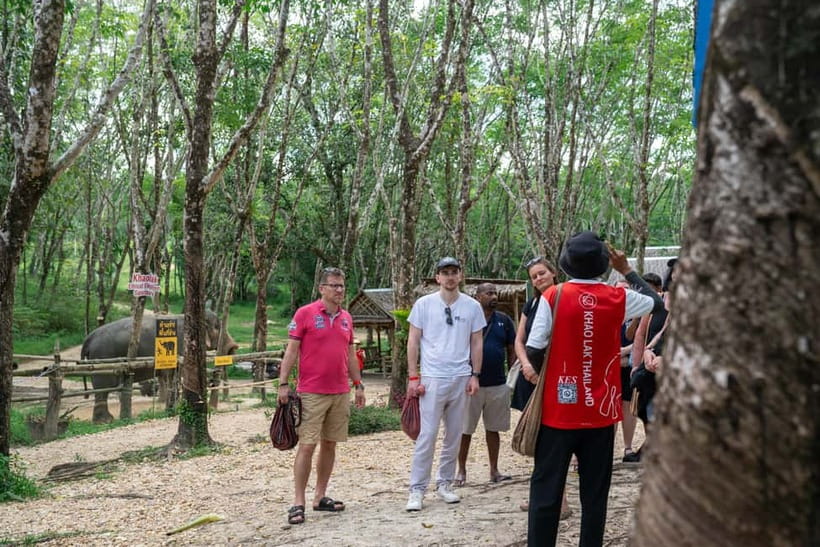 Khao Lak’s Best: Elephant Sanctuary,Rubber Tapping&Waterfall - A brief stop at Sai Rung Waterfall