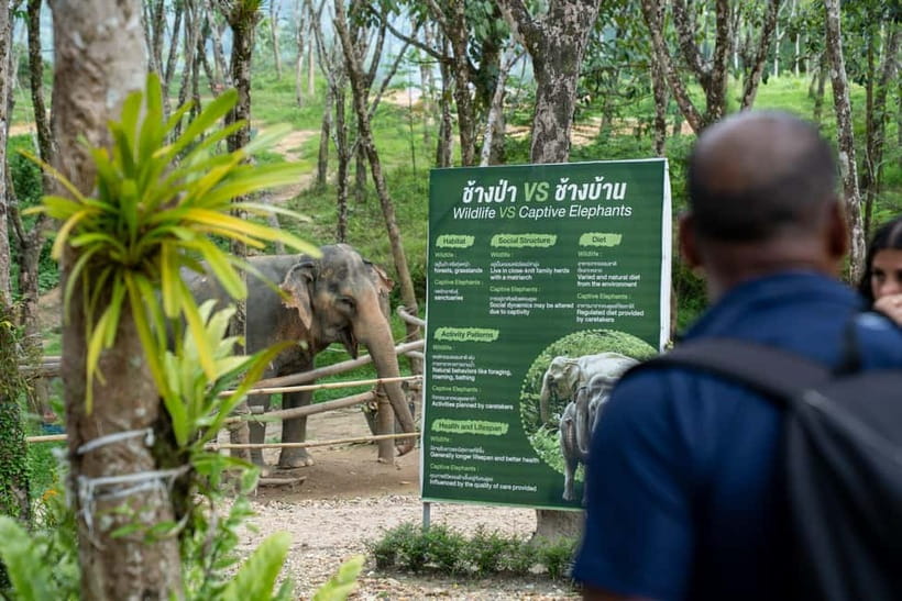 Khao Lak’s Best: Elephant Sanctuary,Rubber Tapping&Waterfall - Is the $64 price fair?