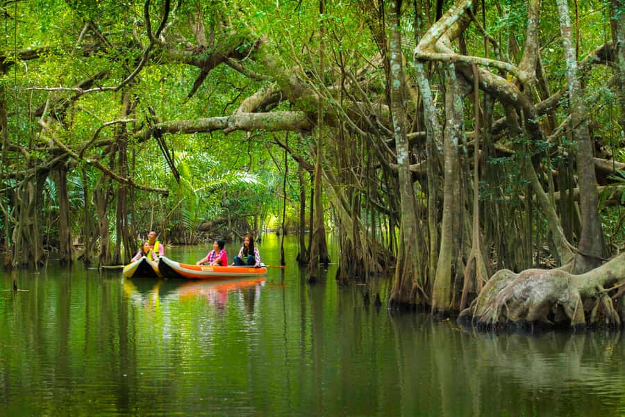Khao Lak's Little Amazon: Canoe, Trek & Waterfall Day Trip - Why this seven-hour outing works