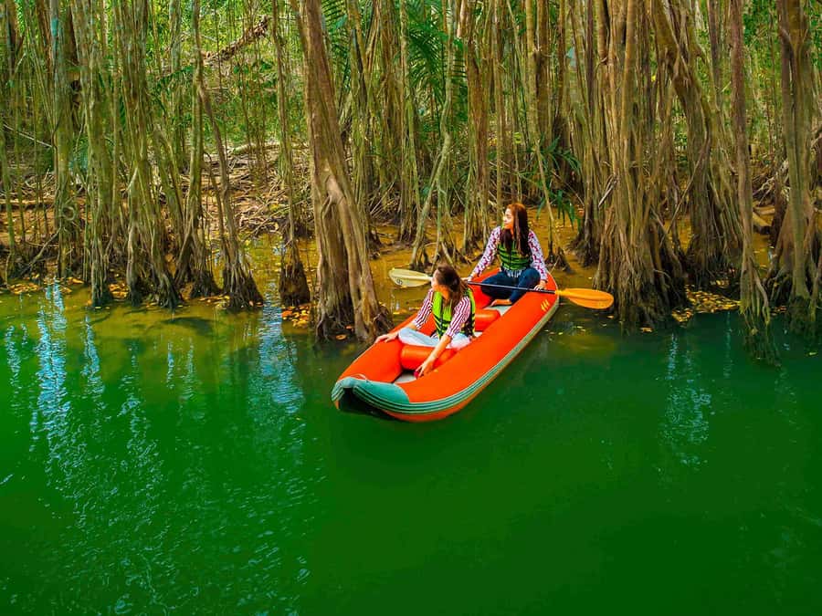 Khao Lak's Little Amazon: Canoe, Trek & Waterfall Day Trip - Transport, group size, and the day’s pace